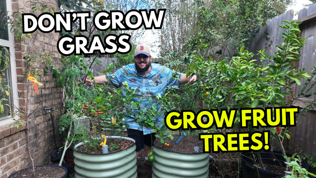 Why Every Backyard Should Grow Fruit Trees Instead of Grass